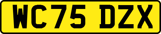 WC75DZX