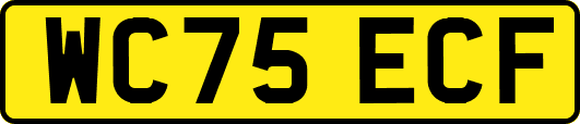 WC75ECF