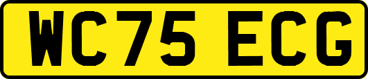WC75ECG