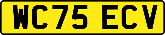WC75ECV
