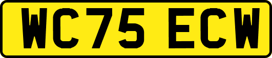 WC75ECW