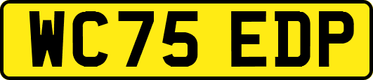 WC75EDP