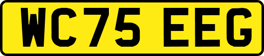 WC75EEG