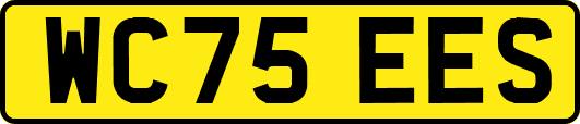 WC75EES