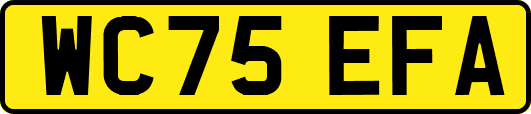 WC75EFA