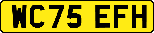 WC75EFH