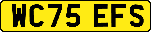 WC75EFS