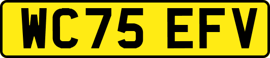 WC75EFV