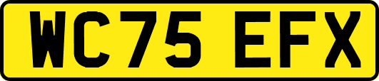 WC75EFX