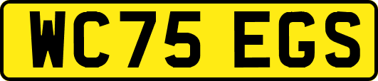 WC75EGS