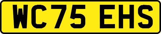 WC75EHS