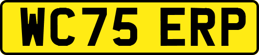 WC75ERP