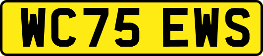 WC75EWS