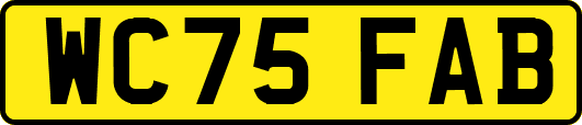 WC75FAB