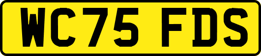 WC75FDS