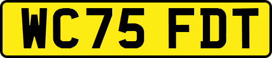 WC75FDT