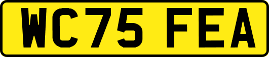 WC75FEA