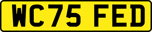 WC75FED