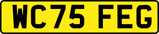 WC75FEG