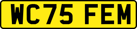 WC75FEM