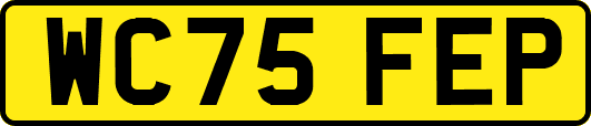 WC75FEP