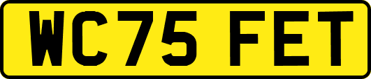 WC75FET