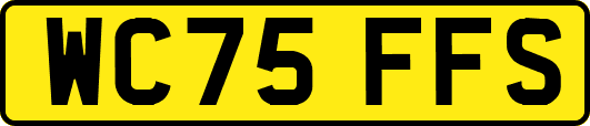 WC75FFS