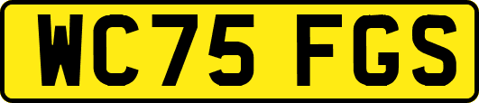 WC75FGS
