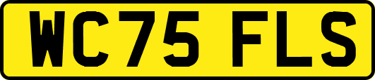 WC75FLS