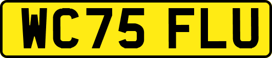 WC75FLU