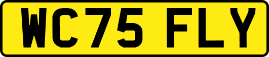 WC75FLY