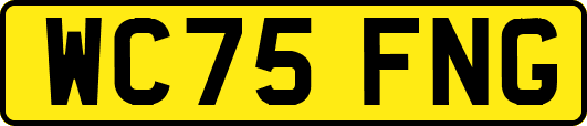 WC75FNG