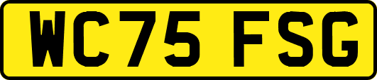 WC75FSG