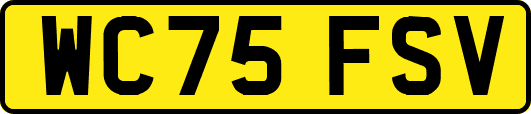 WC75FSV