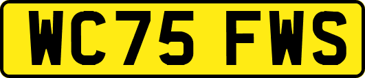 WC75FWS