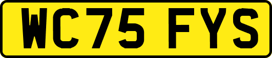 WC75FYS