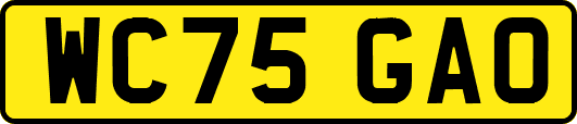WC75GAO