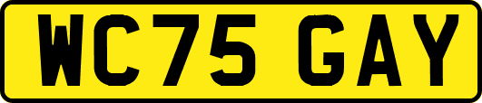 WC75GAY