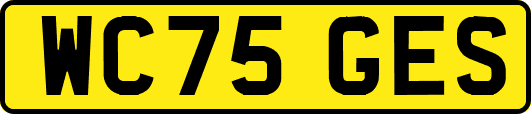 WC75GES