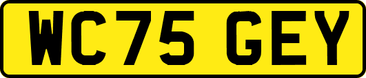 WC75GEY