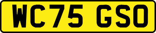 WC75GSO
