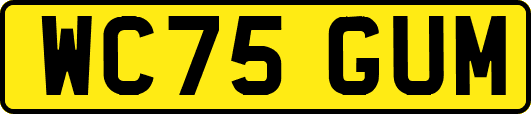 WC75GUM