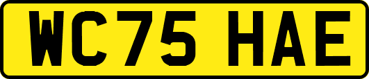 WC75HAE