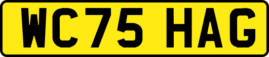 WC75HAG