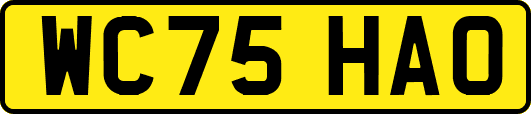WC75HAO