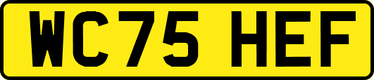 WC75HEF