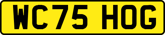 WC75HOG