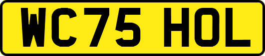 WC75HOL