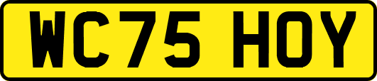 WC75HOY