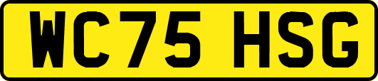 WC75HSG